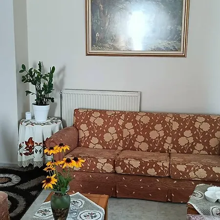 Sofia's House