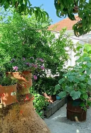 Sofia's House Apartment